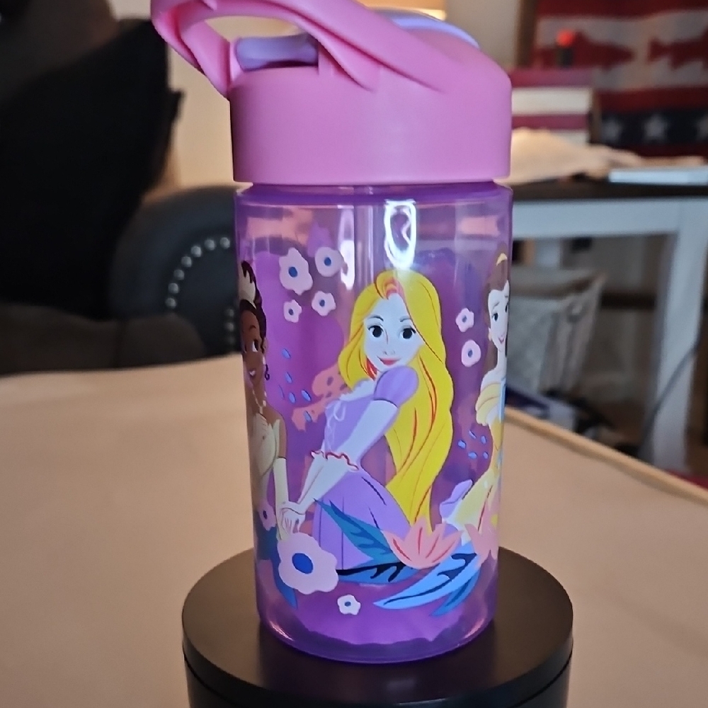 16 fl oz Disney Princess Plastic Water Bottle By ZAK!